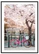 Pink cykel under træ billede - Flot print til boligen