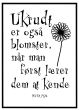Ukrudt er også blomster billede - Flot print til boligen