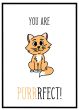 You are purrrfect billede - Flot print til boligen