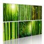 Bamboo has many faces canvas print - flot billede på lærred