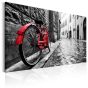 Vintage Red Bike canvas print - flot billede på lærred