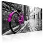 Vintage Pink Bike canvas print - flot billede på lærred