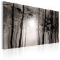 Foggy Forest canvas print - flot billede på lærred