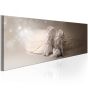 Angelic Sweetness canvas print - flot billede på lærred