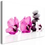 Hawaiiblomst (1 del) Pink canvas print - flot billede på lærred