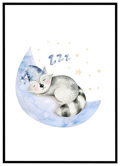 Drømmende vaskebjørn billede - Flot print til boligen