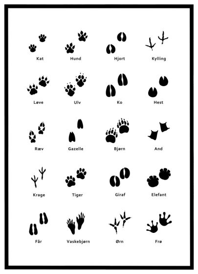 Dyrespor #1 billede - Flot print til boligen