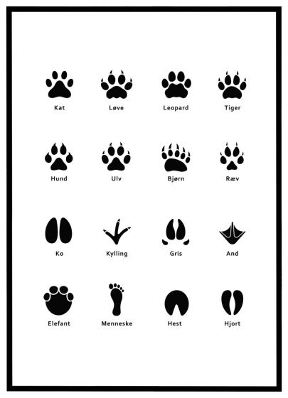 Dyrespor #2 billede - Flot print til boligen