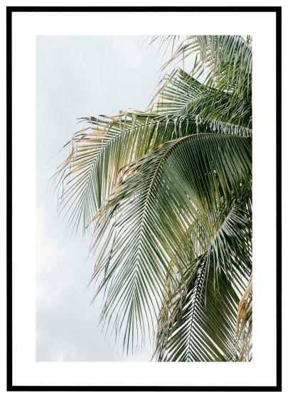 Palmeblade billede - Flot print til boligen