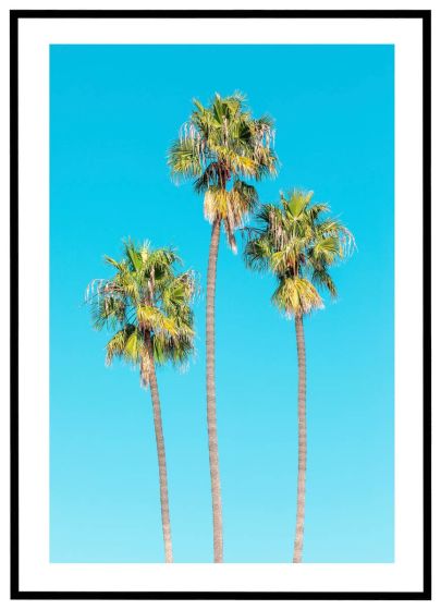 Palmetræer under blå himmel billede - Flot print til boligen