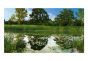 The Magic Pond II fotostat - flot foto tapet til væggen