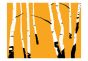 Birches on the orange background fotostat - flot foto tapet til væggen