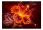Fiery flower fotostat - flot foto tapet til væggen